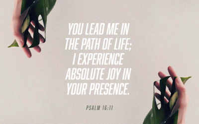 7 Days Of Prayer – Day 3 – Step up in joy