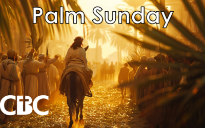 Palm Sunday – Total Worship – Discussion Questions