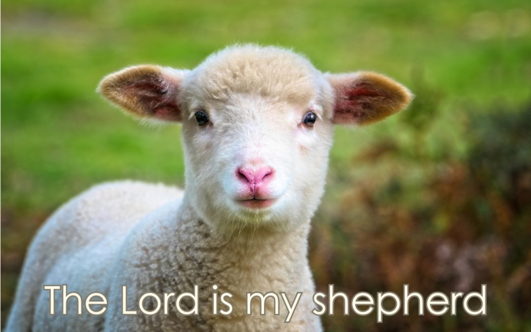 The Good Shepherd – 5 Day Devotional