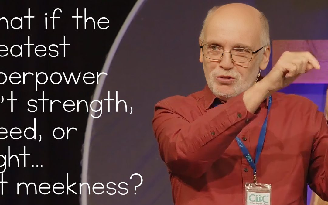 The Unexpected Superpower: Embracing Meekness in a Power-Hungry World