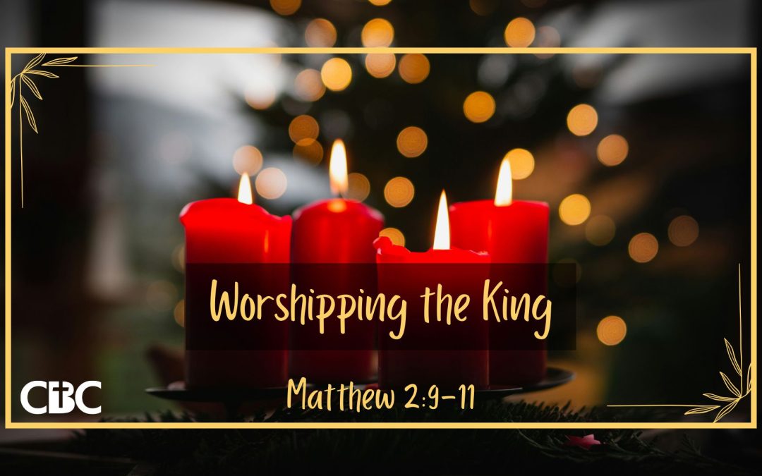 Worshipping the King – Discussion Questions