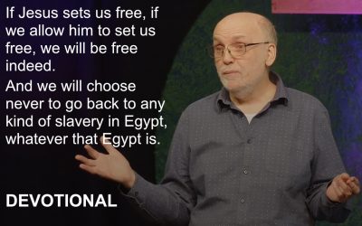 5-Day Devotional: The Journey to True Freedom