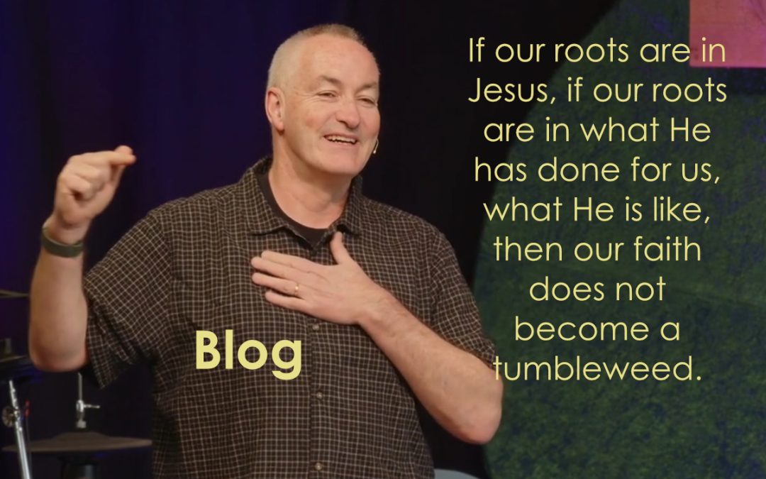 Deep Roots, Wide Branches: Finding Stability in Christ’s Love