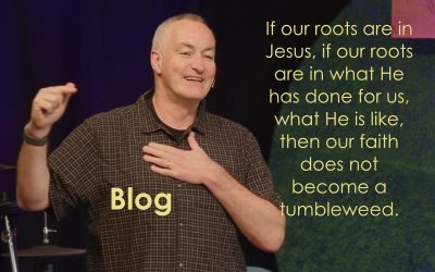Deep Roots, Wide Branches: Finding Stability in Christ’s Love