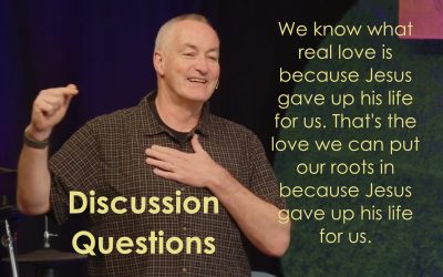 Rooted in Christ – discussion questions