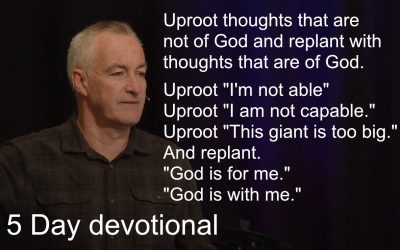 5-Day Devotional: From Fear to Faith